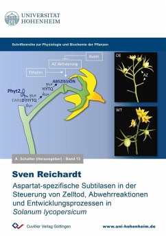 Cover Aspartat-spezifische Subtilasen in der Steuerung von Zelltod, Abwehrreaktionen und Entwicklungsprozessen in Solanum lycopersicum (eBook, PDF)