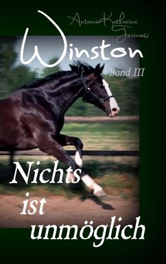 Winston - Nichts ist unmöglich (eBook, ePUB) - Tessnow, Antonia Katharina