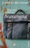 Wie eine zufällige Begegnung (eBook, ePUB)