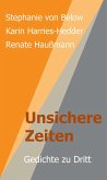 Unsichere Zeiten (eBook, ePUB)