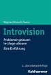 Introvision - Bild 1
