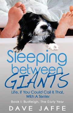 Sleeping between Giants - Jaffe, Dave