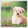 Love Is a Pup - Bild 1