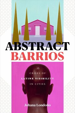 Abstract Barrios - Londoño, Johana