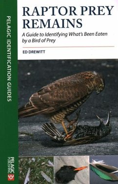 Raptor Prey Remains - Drewitt, Ed