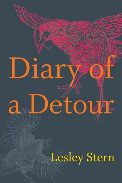 Diary of a Detour - Stern, Lesley