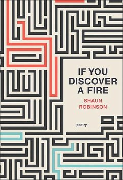 If You Discover a Fire - Robinson, Shaun