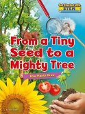From a Tiny Seed to a Mighty Tree