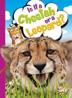 Is It a Cheetah or a Leopard? - Terp, Gail