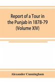 Report of a Tour in the Punjab in 1878-79 (Volume XIV)