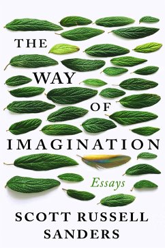 The Way of Imagination: Essays - Sanders, Scott Russell