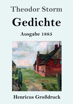 Gedichte (Großdruck) - Storm, Theodor