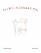 The Foetal Circulation - Bild 1