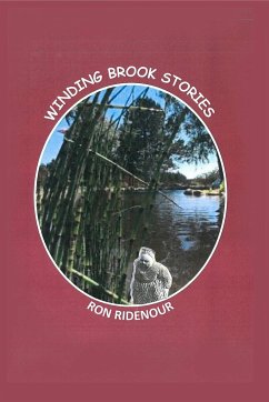 Winding Brook Stories - Ridenour, Ron