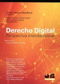 Derecho Digital (eBook, PDF)
