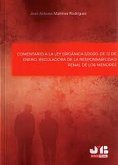 Comentario a la Ley Orgánica 5/2000, de 12 de enero (eBook, PDF)