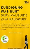 Kündigung und dann? Survival Guide zum Rauswurf (eBook, ePUB)