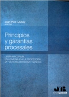 Principios y garantías procesales (eBook, PDF) - Picó I Junoy, Joan