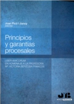 Cover Principios y garantías procesales (eBook, PDF)