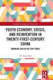 Youth Economy, Crisis, and Reinvention in Twenty-First-Century China (eBook, PDF)