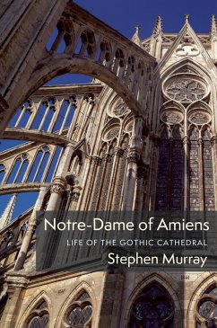 Cover Notre-Dame of Amiens (eBook, ePUB)