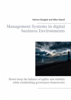 Management Systems in digital business Environments - Steigele, Helmut;Haeufl, Mike