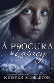 À procura de Lainey (eBook, ePUB)