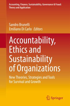 Accountability, Ethics and Sustainability of Organizations (eBook, PDF)