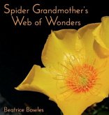 Spider Grandmother's Web of Wonders