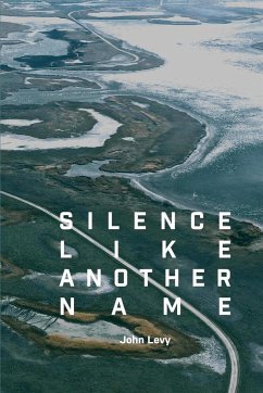 Silence Like Another Name - Levy, John