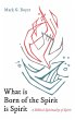 What is Born of the Spirit is Spirit - Bild 1