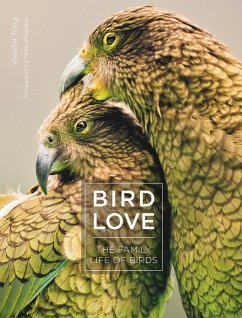 Bird Love - Tong, Wenfei