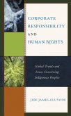 Corporate Responsibility and Human Rights (eBook, ePUB)