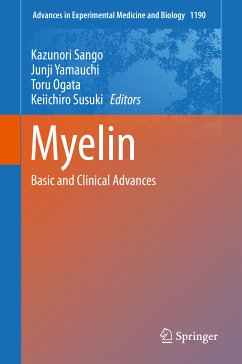 Myelin (eBook, PDF)