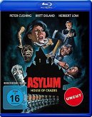 Asylum - Irrgarten des Schreckens Uncut Edition