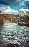 Vital Stream (eBook, ePUB)