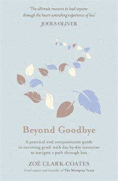 Beyond Goodbye - Clark-Coates, Zoë