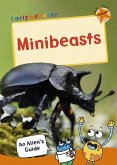 Minibeasts Minibeasts