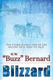 Blizzard (eBook, PDF)