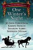 One Winter's Night (eBook, PDF)