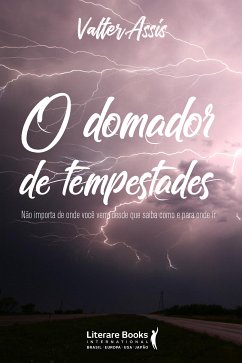 O domador de tempestades (eBook, ePUB) - Assis, Valter