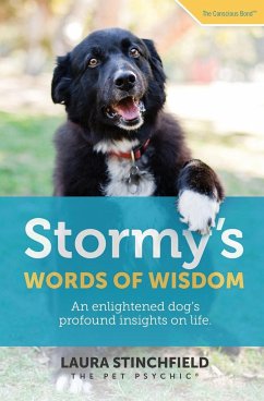Stormy's Words of Wisdom - Stinchfield, Laura