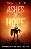 Ashes of Hope: A Post Apocalyptic Dark Fantasy Short Story (eBook, ePUB)