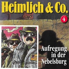 Aufregung in der Nebelsburg (MP3-Download) - Herwald, Hans-Joachim