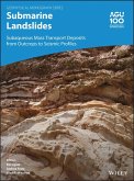 Submarine Landslides (eBook, PDF)