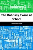 Bobbsey Twins at School (eBook, PDF)