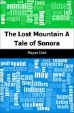 Lost Mountain: A Tale of Sonora (eBook, PDF)