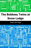 Bobbsey Twins at Snow Lodge (eBook, PDF)