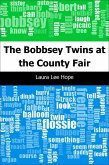 Bobbsey Twins at the County Fair (eBook, PDF)