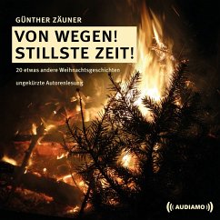 Von wegen! Stillste Zeit! (MP3-Download) - Zäuner, Günther